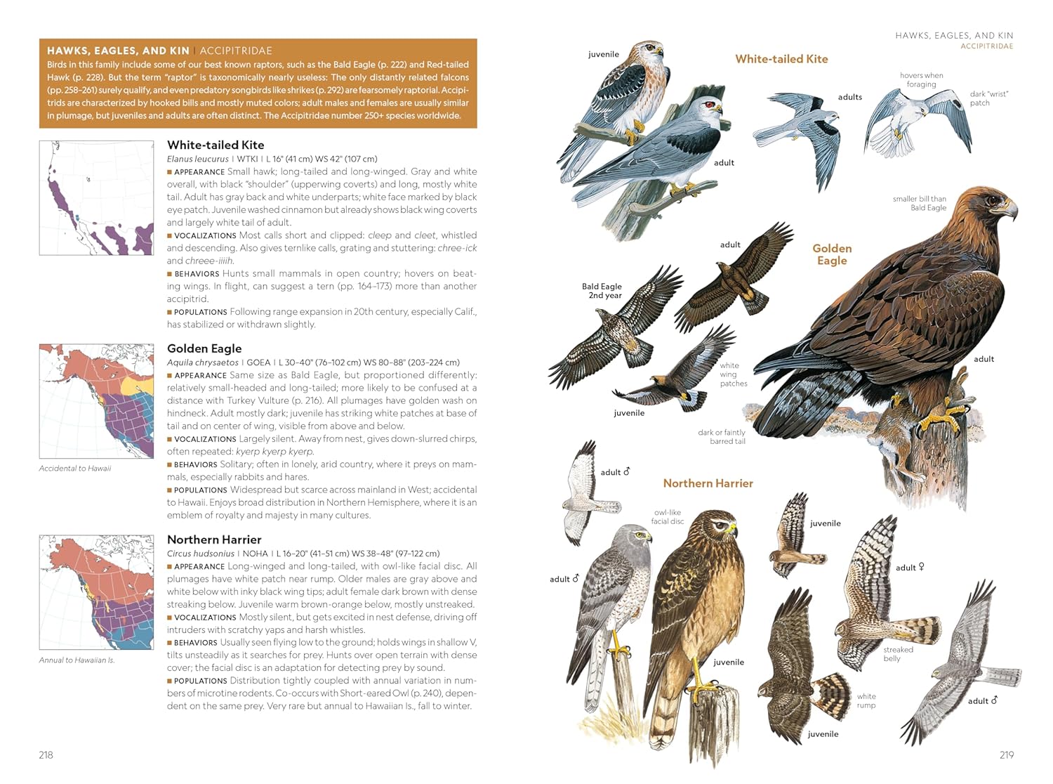 National Geographic Field Guide to the Birds of the United States and Canada―West, 2nd Edition - Image 3