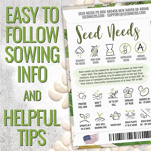 Miniatura 3 de Seed Needs Henderson Lima Bush - Semillas de frijol para plantar  2 onzas, más de 150 semillas Phaseolus Vulgaris sin OGM, variedad de semillas de