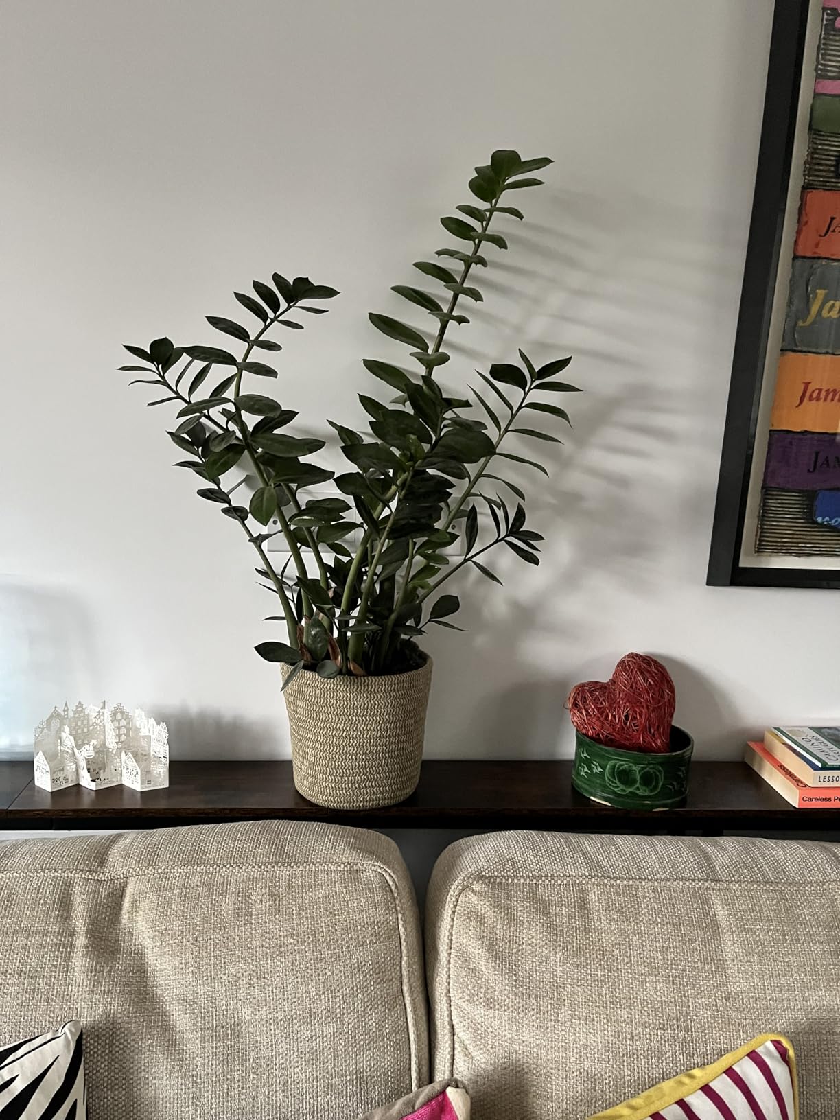 Customer photo