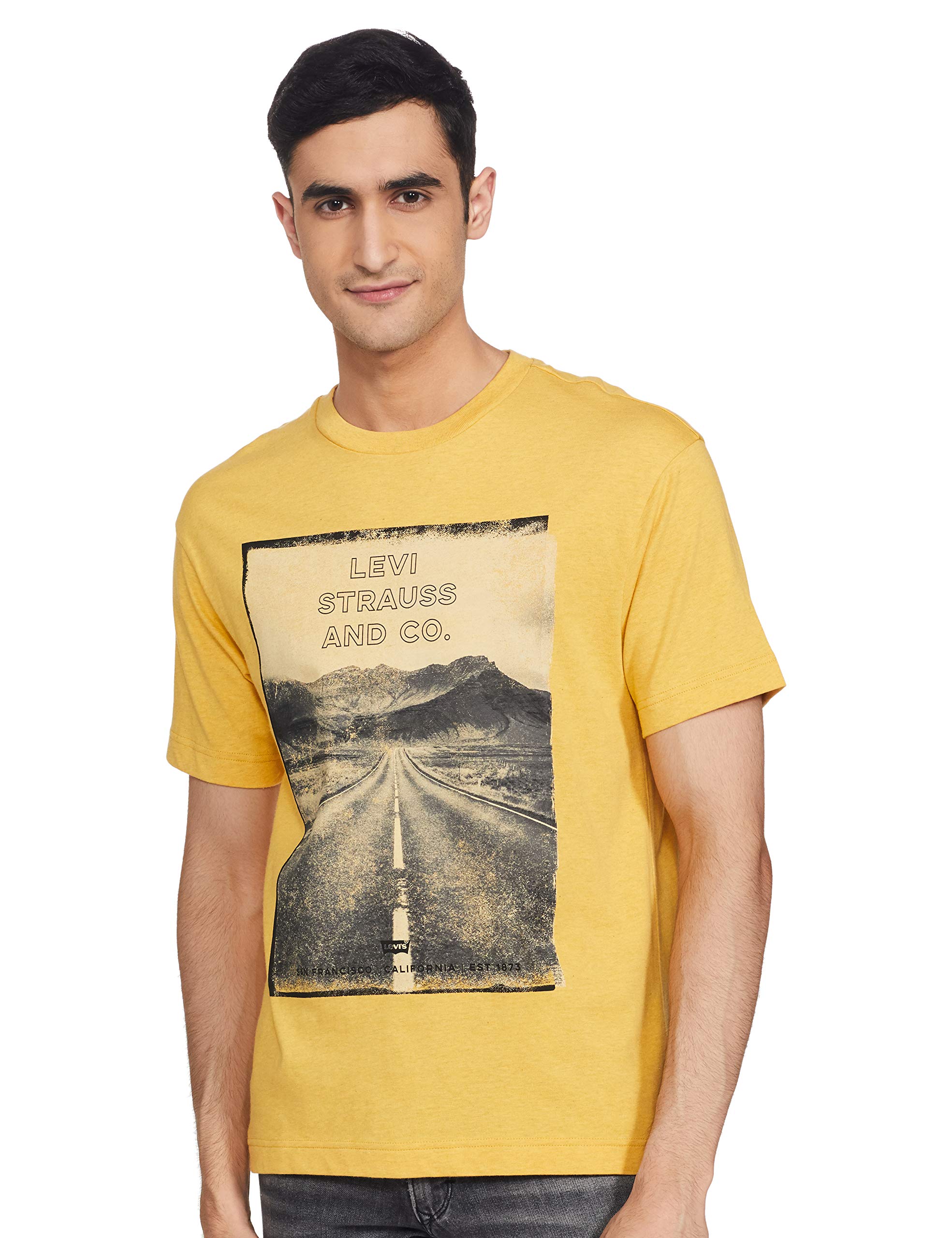 Levi'sMen Loose Fit T-Shirt