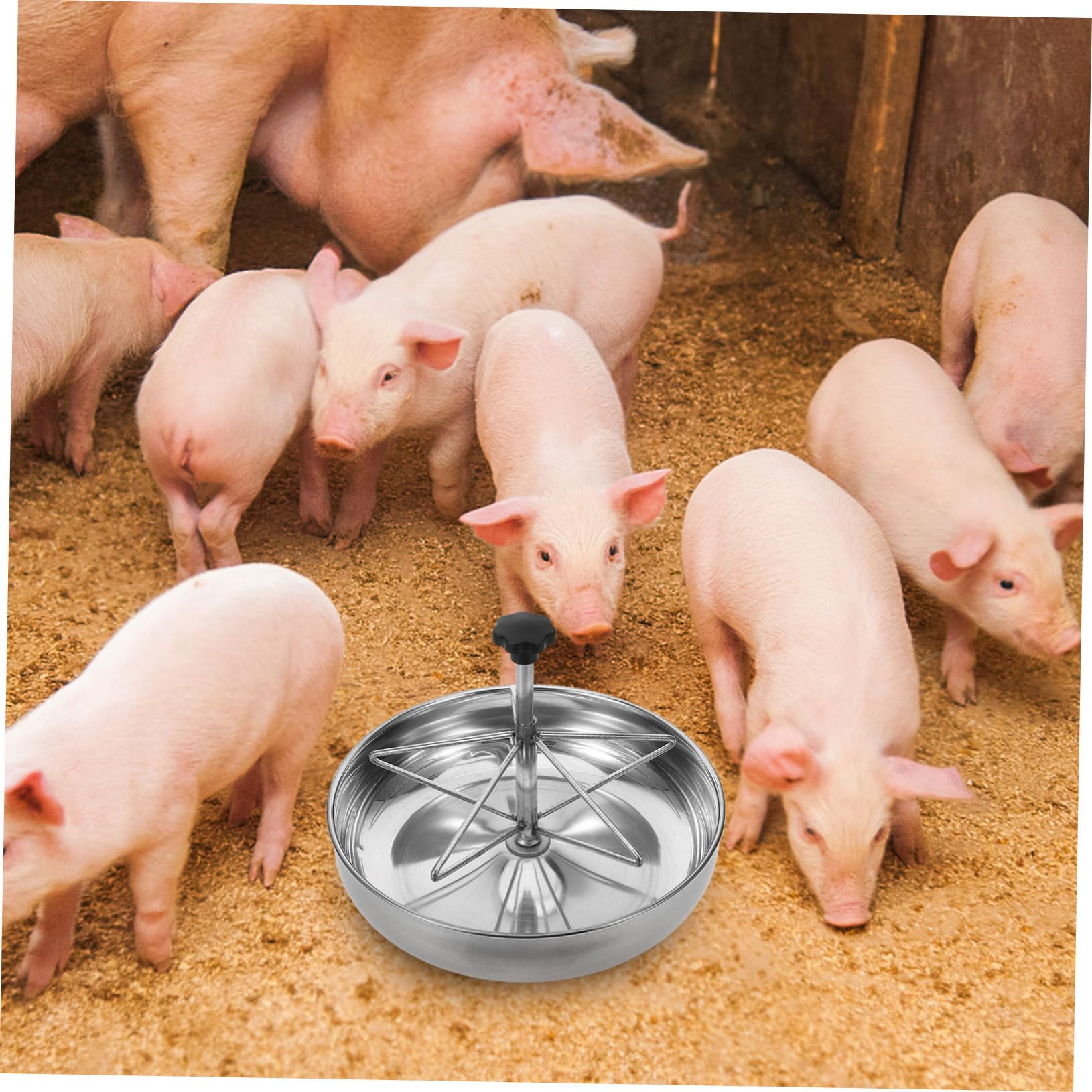 UKCOCO Mangiatoia Per Maiali in Acciaio Resistente Mangiatoia Ad Alta Capacità Per Recinti Per Allevamenti Contenitore Per Alimentazione Facile Da Pulire