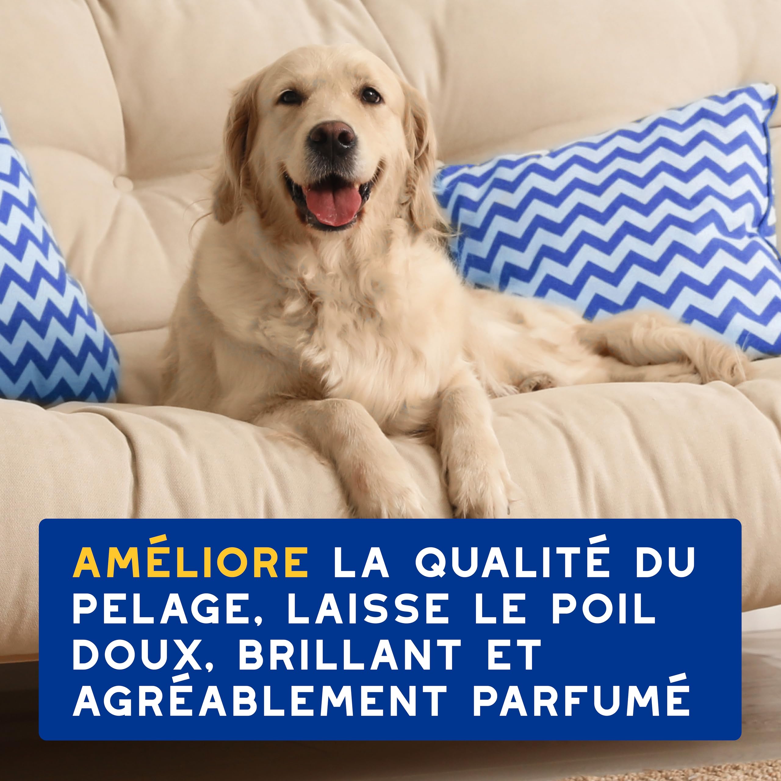 DOUXO Skin & Coat Spa - Ultra-Safe Shampoing hydratant pour Chien, 250mL, Nettoie et Hydrate la Peau Profondeur, Laisse Le Pelage Doux et éclatant, Formule respectueuse de la Peau.