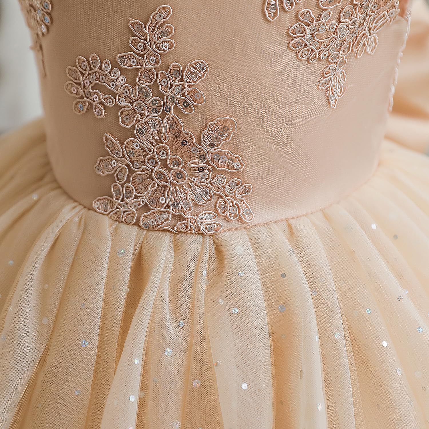 TTYAOVO Flowre Baby Girl Dress Birthday Party Princess Gown