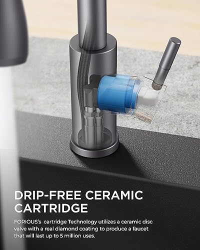 Vista 69 de FORIOUS - Llave de fregadero de acero inoxidable para cocina B07Y4Y88Y6