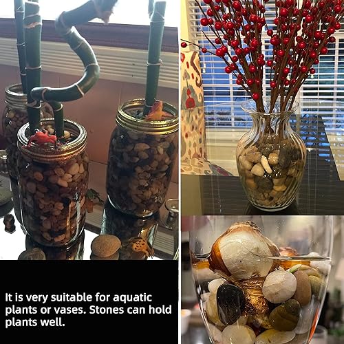 Miniatura 3 de Piedras para plantas, 18 libras, rocas naturales de río para jardín, piedras decorativas para acuarios al aire libre, grava de 1-1.5 pulgadas