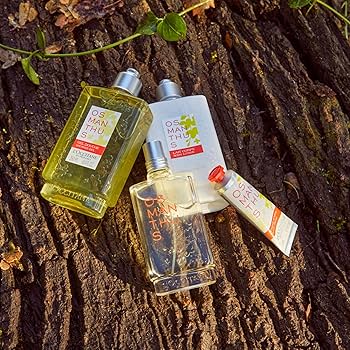 L'OCCITANE OSMANTHUS ボディソープ 190ml Amazon.com: L'OCCITANE Osmanthus Body Lotion 8.40 fl. oz