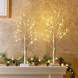 PEIDUO Christmas Decorations Indoor, 2 FT Birch Tree with LED Lights, Fairy Light Spirit Tree for Christmas Decor, Warm White Lighted Birch Trees for Home Decor Indoor, Battery Powered, Timer (2PK)...