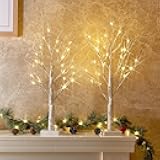 PEIDUO Christmas Decorations Indoor, 2 FT Birch Tree with LED Lights, Fairy Light Spirit Tree for Christmas Decor, Warm White Lighted Birch Trees for Home Decor Indoor, Battery Powered, Timer (2PK)