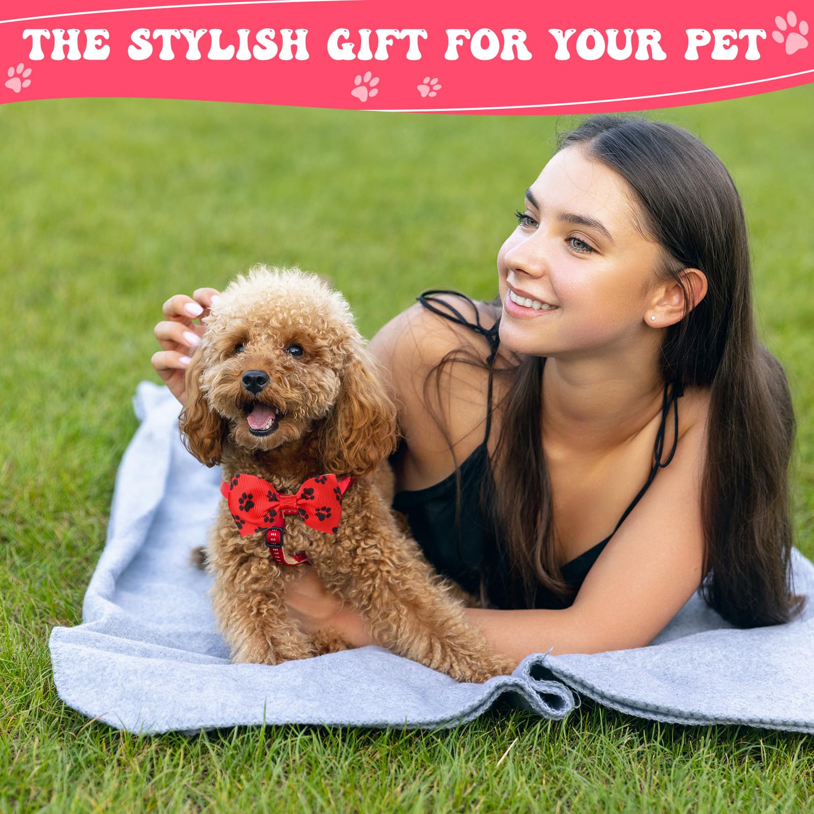 Reginary Lot de 100 Colliers avec nœud Papillon pour Chien Comprenant 40 Cravates pour Chien, 30 nœuds Papillon pour Chiot, 30 Fleurs de Collier, nœuds réglables pour Chiens de Petite et Moyenne