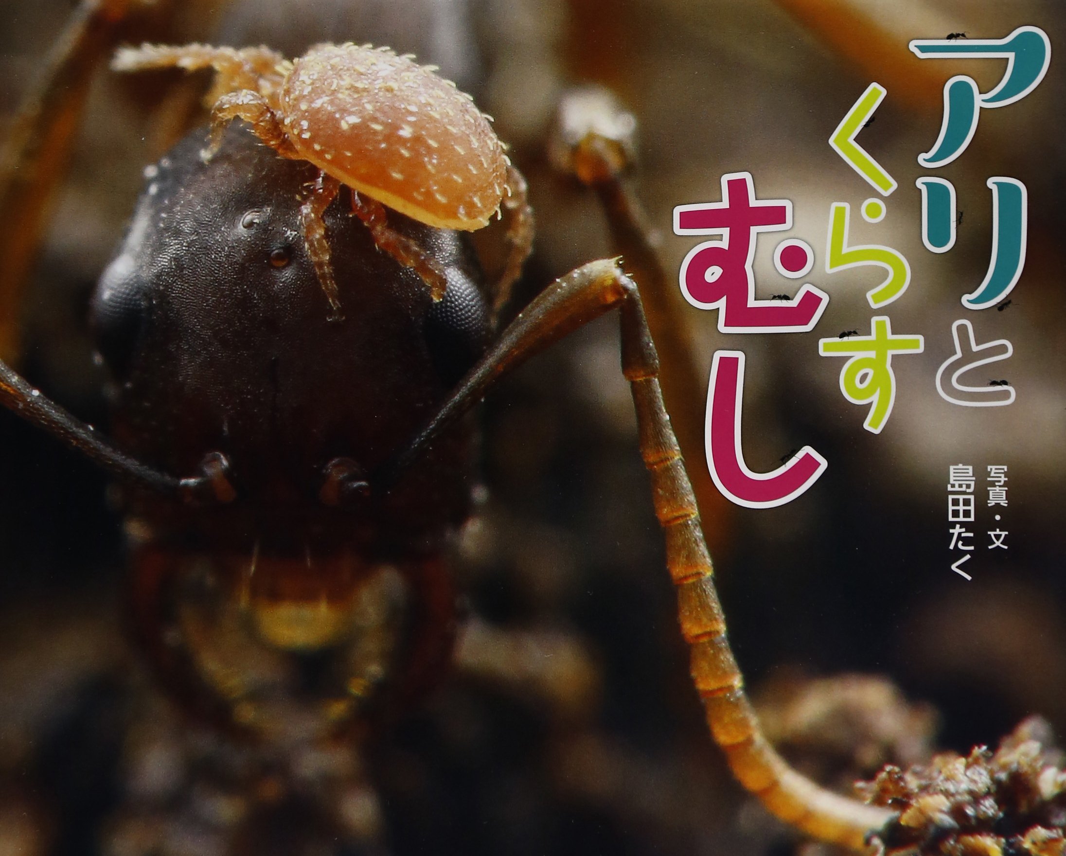 アリとくらすむし ふしぎいっぱい写真絵本 島田 たく 島田 たく 本 通販 Amazon