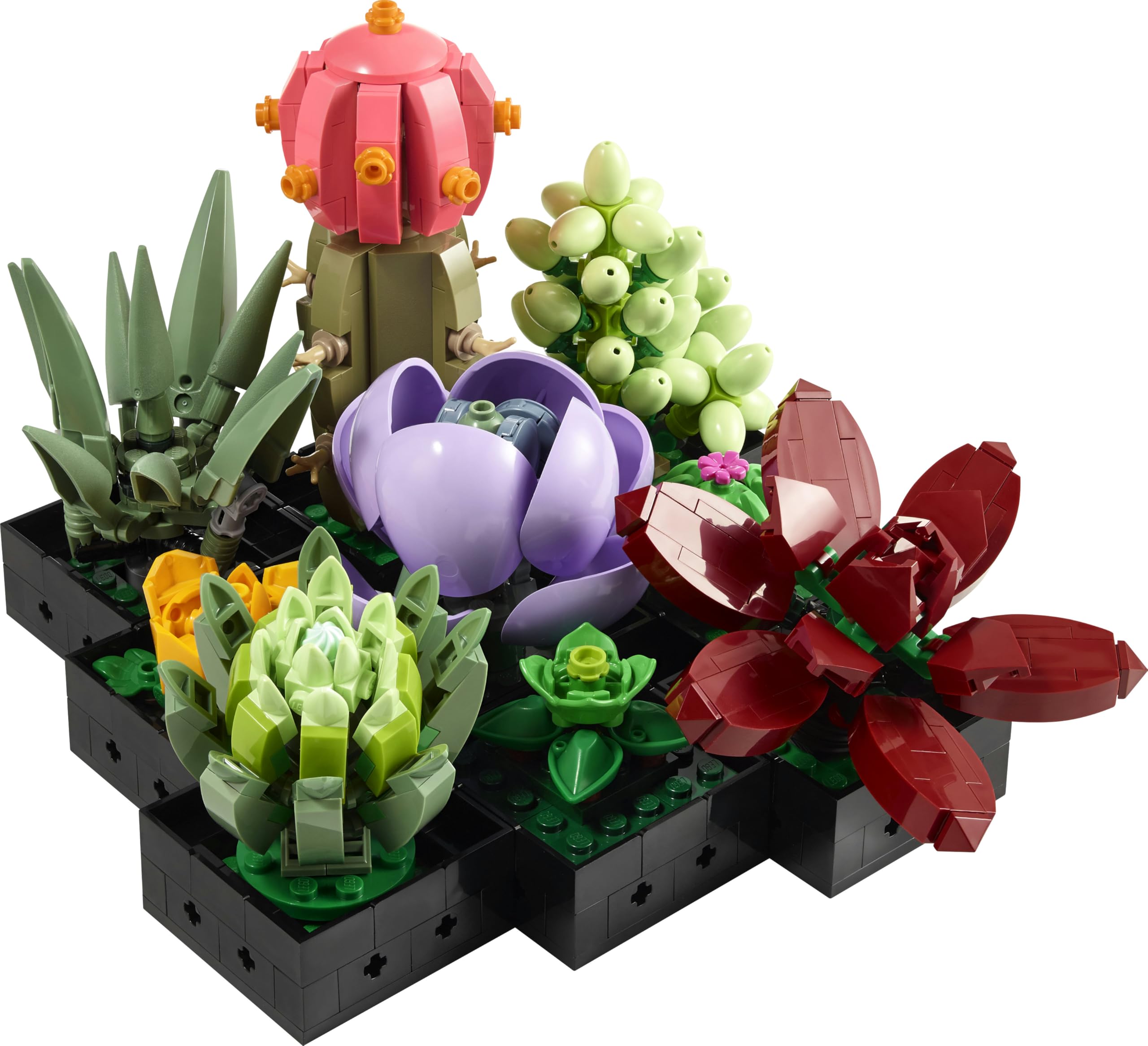 LEGO Botanicals Les Succulentes - Set de Construction - Plantes Artificielles - Maquettes de 9 Petites Plantes - Décoration Intérieure pour la Maison ou Le Bureau - Idée de Cadeau pour Adulte 10309