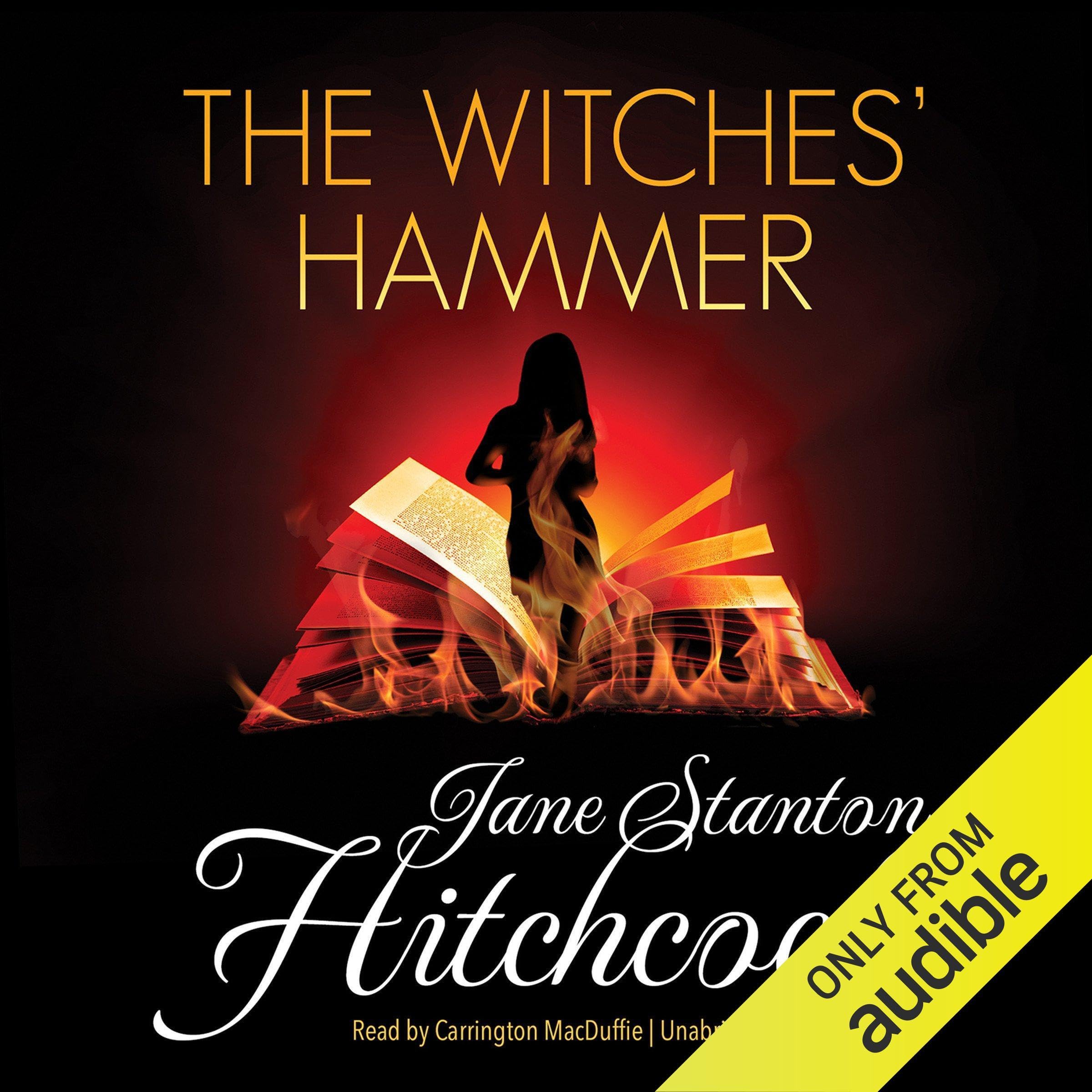 Cover art for The Witches' Hammer
