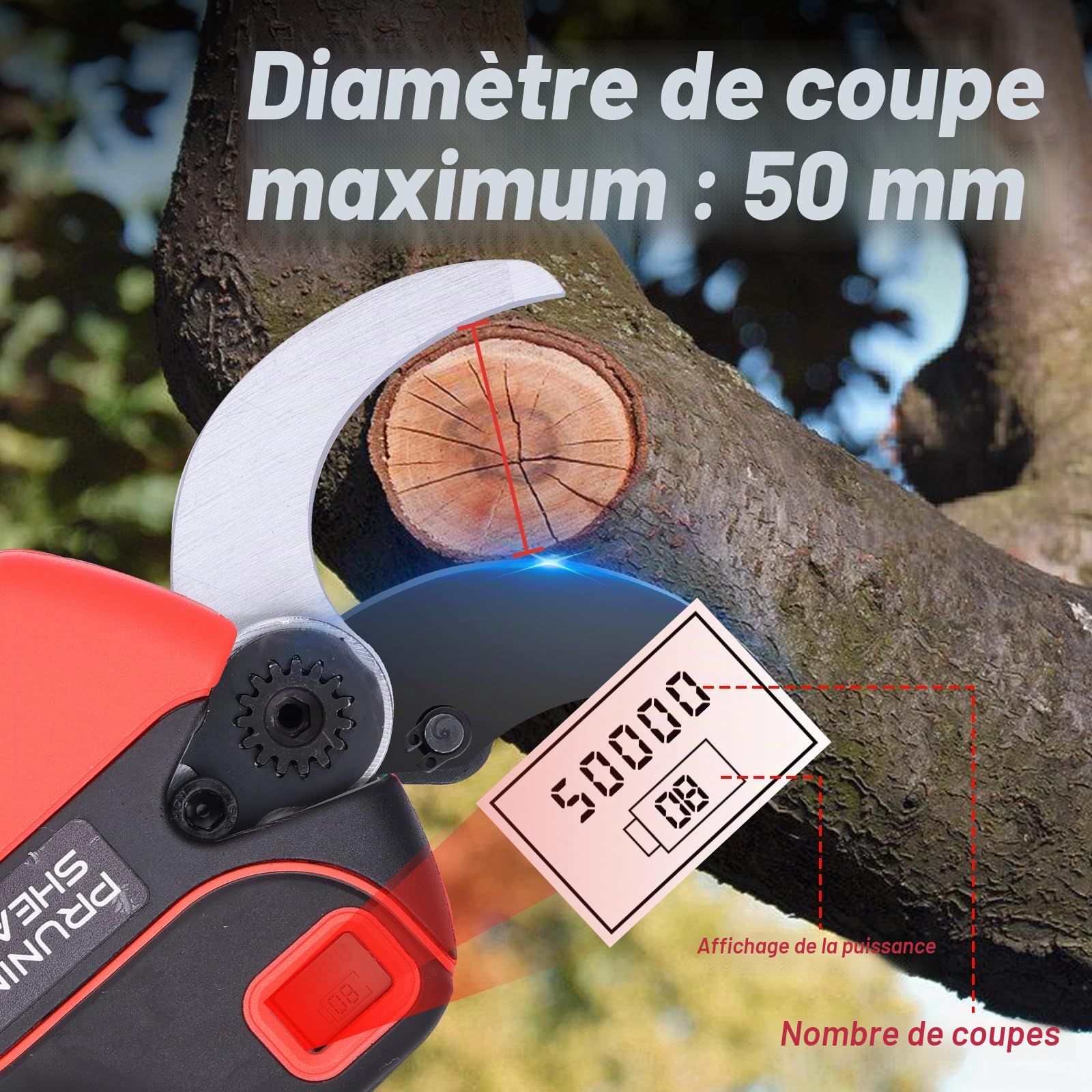 Sécateur Électrique Télescopique 50MM avec 2 Mètres Perche: Secateur Electrique Sans Fil avec 2 x 2.0Ah Batterie Élagueuse,Diamètre De Coupe 30/50 mm, Secateur de Jardin pour Hedge, Arbre, Fruits