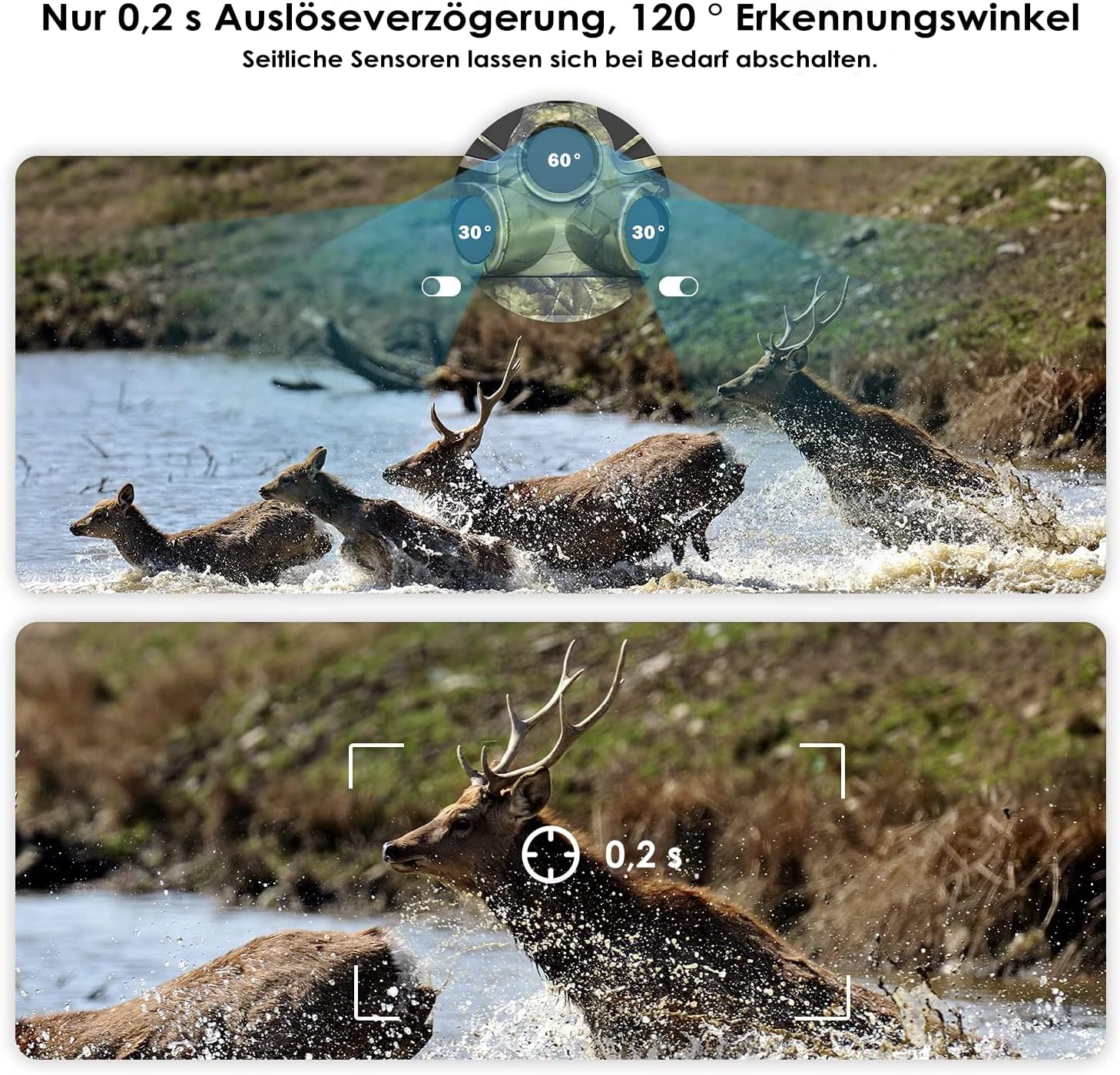 Deer running in water, illustrating 0.2s trigger delay and 120 degree detection angle