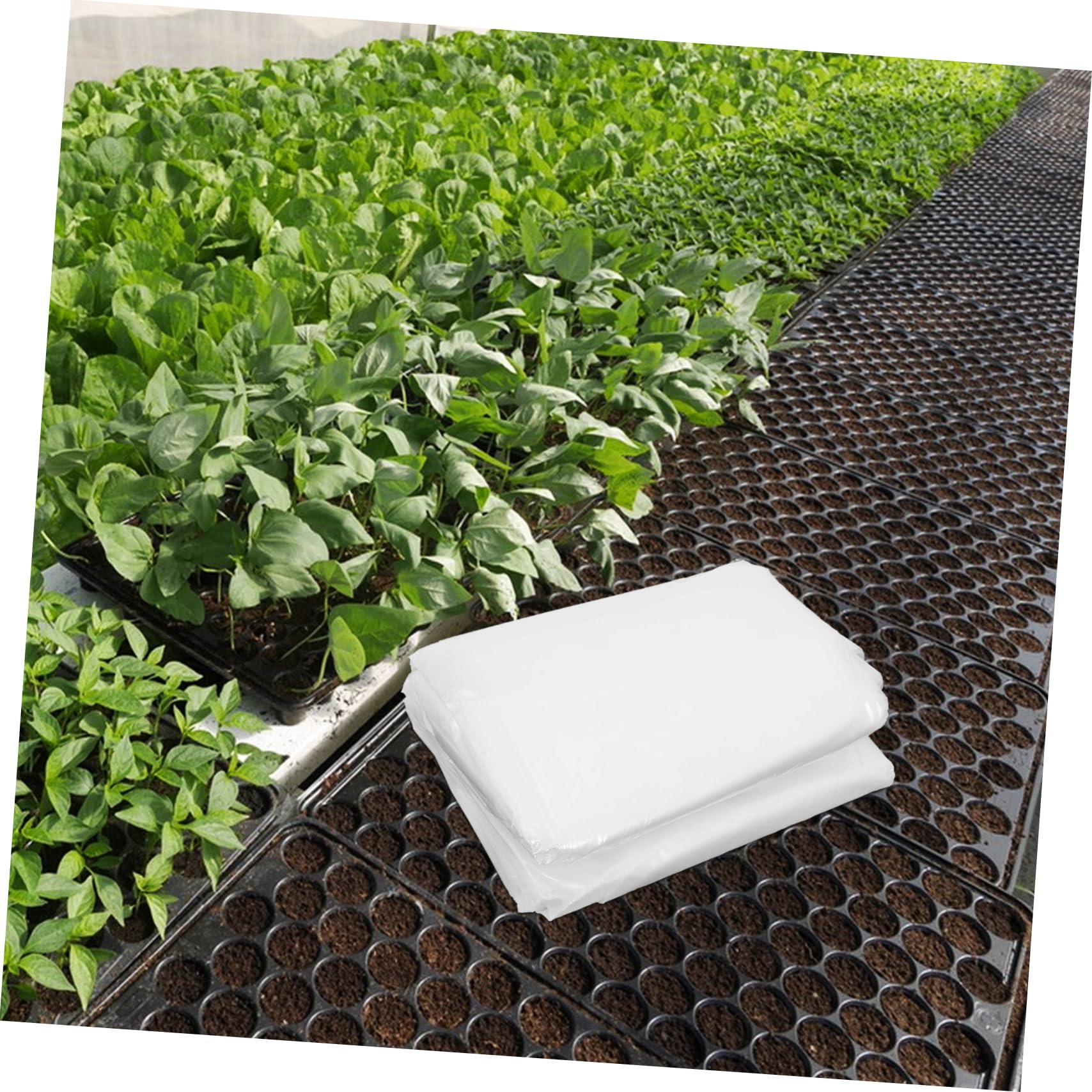 TOYANDONA Pellicola Antighiaccio per Piante da Giardino in PE | Copertura per Mini Teli e Tunnel, Adatta anche Finestre, Film Bianco per Protezione dal Gelo