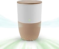 Vista 10 de Dupray Bloom™ Purificador de aire para habitaciones grandes con maceta o diseño de mesa decorativa personalizada Para el hogar, dormitorio