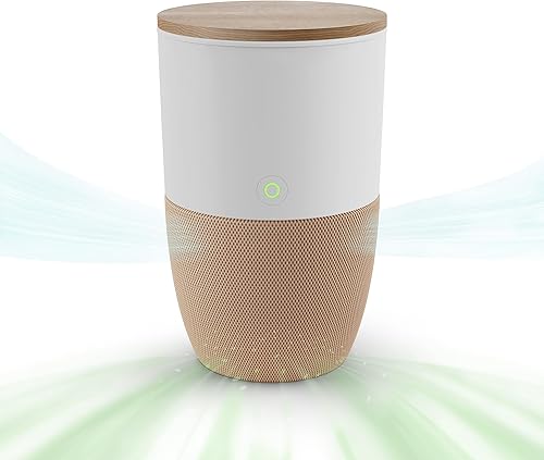 Miniatura 10 de Dupray Bloom™ Purificador de aire para habitaciones grandes con maceta o diseño de mesa decorativa personalizada Para el hogar, dormitorio