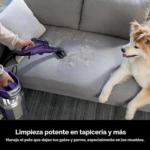 Miniatura 12 de Shark POWERDETECT AZ4002 - Aspiradora vertical con filtro HEPA, aspiradora resistente con potente succión para recoger el pelo de las mascotas,