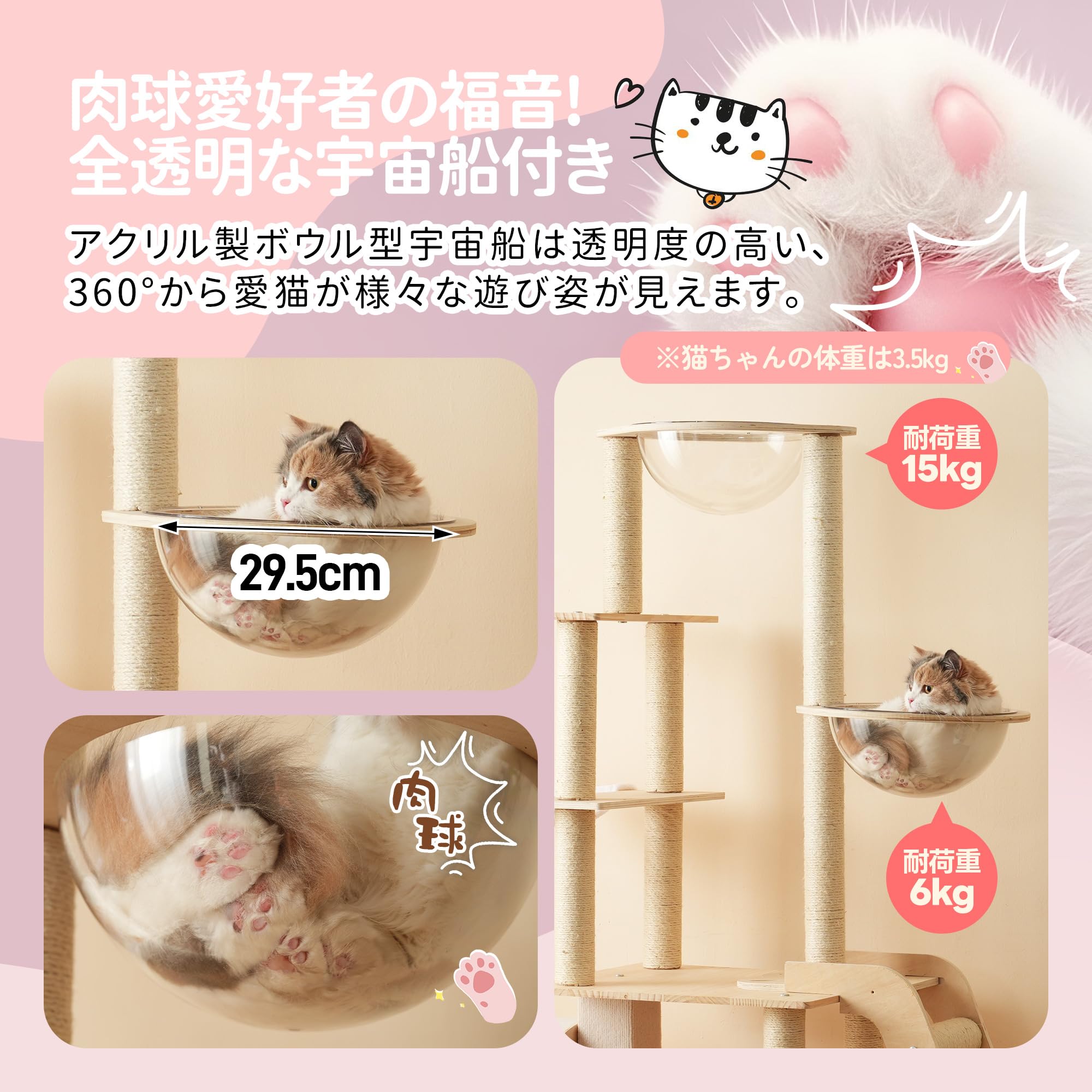 コレクション出品中猫ポス発送希望 キャットバス | 日本製猫用品、グッズの専門通販はanimacolle