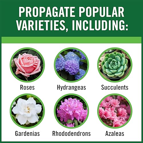 Miniatura 5 de RootBoost 100538120 Polvo de hormona de enraizamiento, 2 onzas, verde