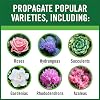 Gardentech RootBoost Rooting Hormone Feeder Pack,2oz