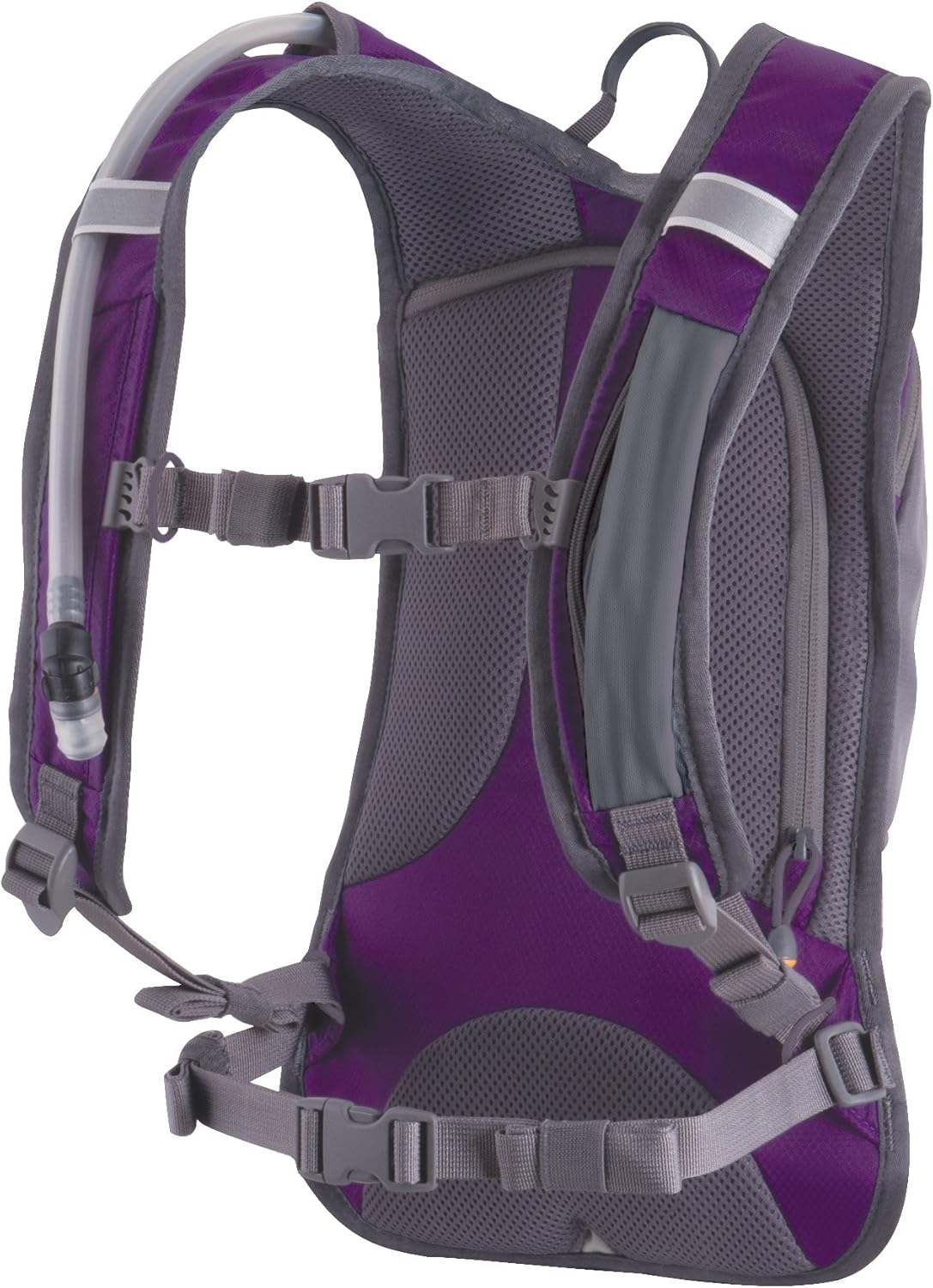 quest hydration backpack