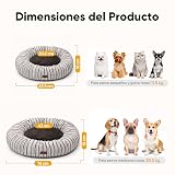 Ver la foto 4