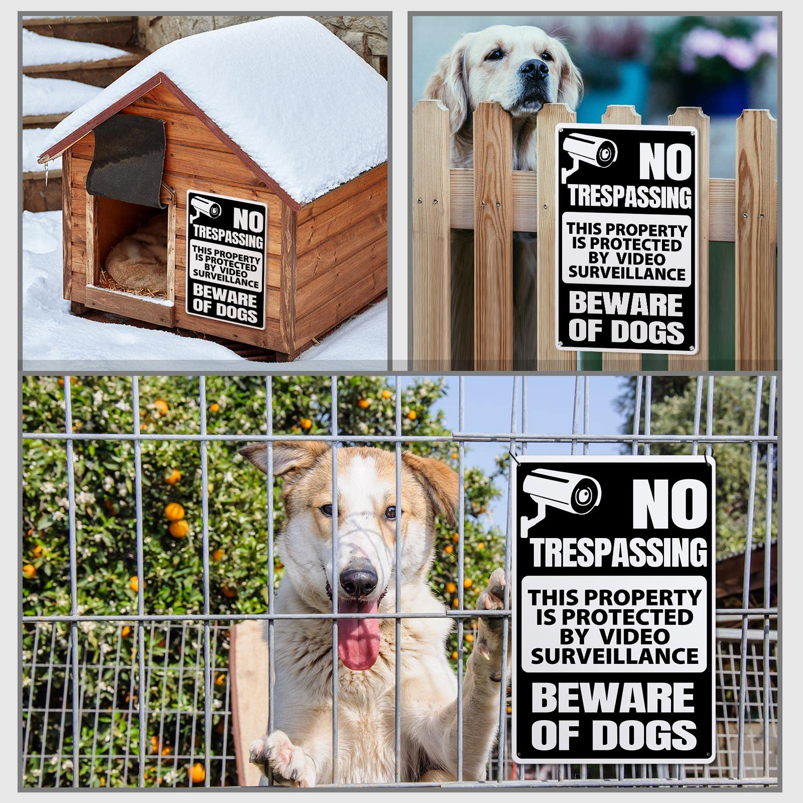 Loopeer 2 Stück Beware of Dog Schild für Zaun No Trespassing Schild Lustige Warndekoration Metall Rostfrei Warnschilder Hund Warnung Metall Blechschilder für Zaun Rasen Garten Hof Schilder Outdoor