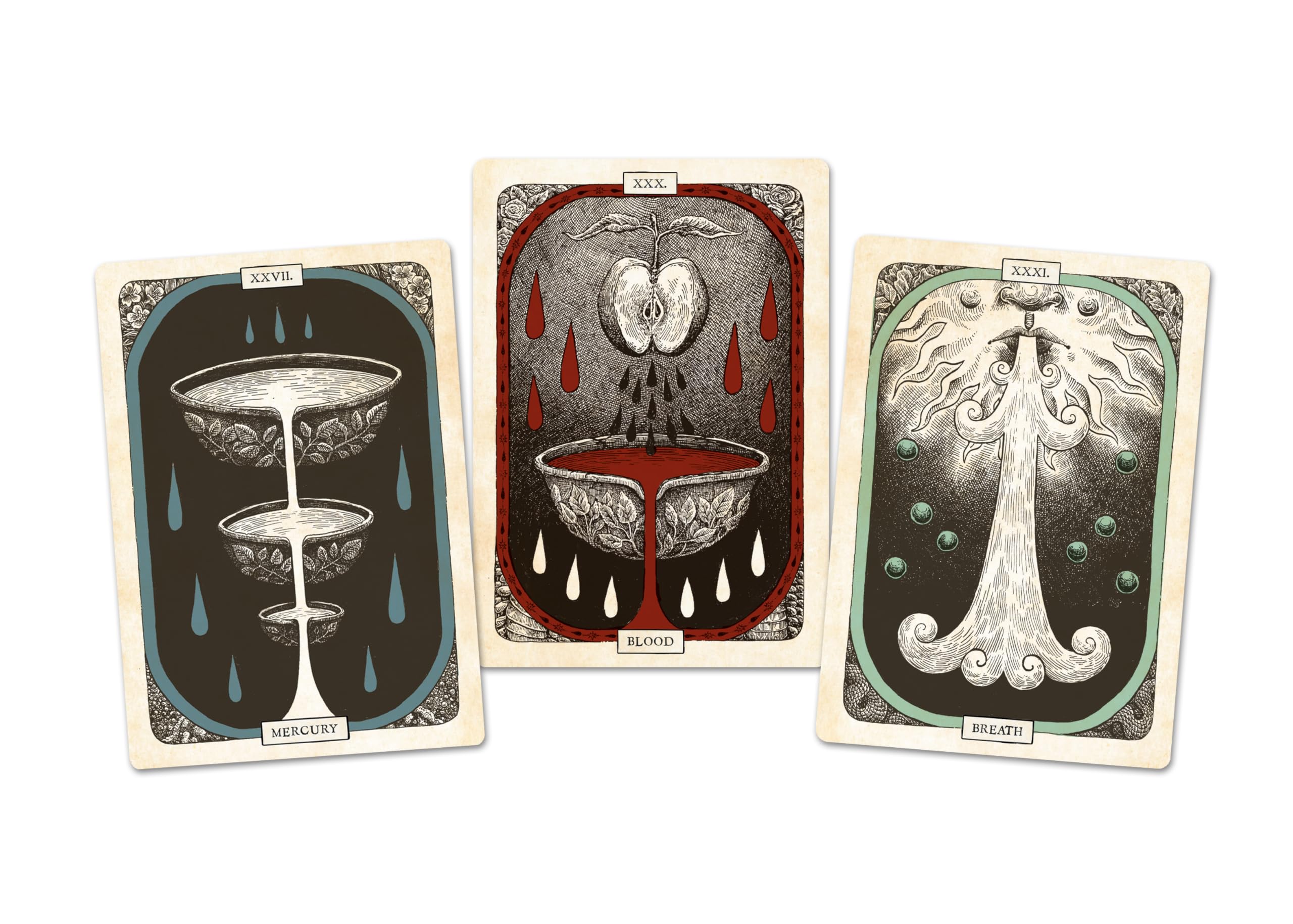 The Black Bird Oracle Deck: A 52-Card Deck and Guidebook