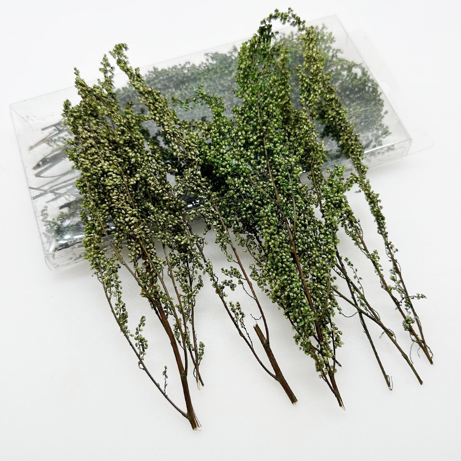 Woohome Static Grass Tuft Model Grass Tufts Railway Artificial Grass Bushy Tuft Flower Cluster Vegetation Groups for Model Train Landscape Railroad Scenery, Dark Green