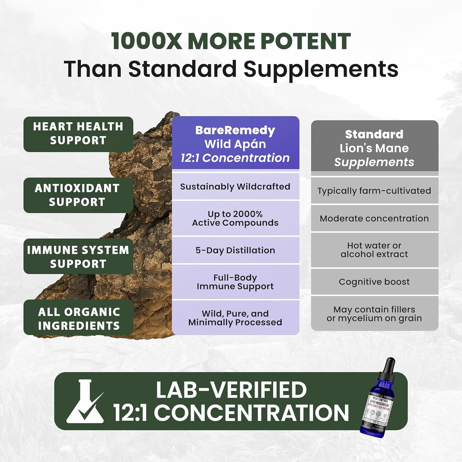 Wild Apán Mushroom Complex Super Daily Tea Tincture, Organic Botanical Extract, Natural Vitality Formula Without Stimulants, 20:1 Extract with Essential Oils, 4oz - Image 2