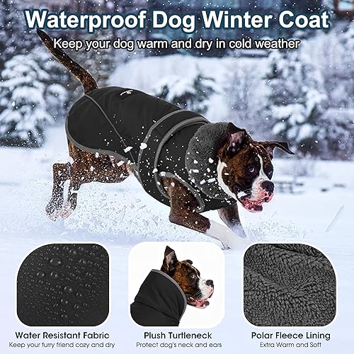 Dogcheer Dog Winter Jacket,Fleece Collar Cold Weather — shown in a real home setting for scale