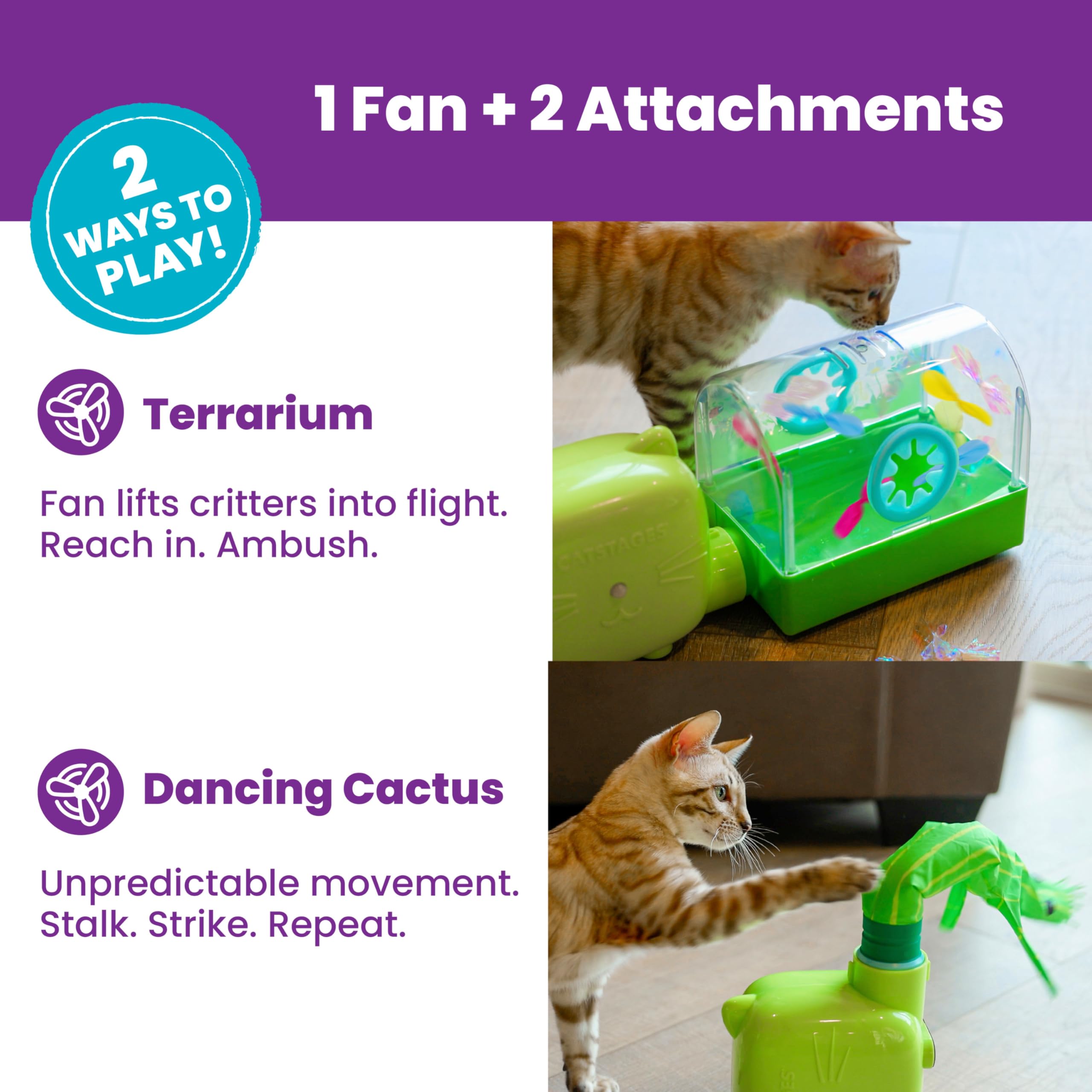 Catstages Juego de Pistola de Aire 2 en 1, Juguete para Gatos, 2 Juguetes Intercambiables, terrario y Cactus bailarín, 1 Ventilador Que Funciona con Pilas
