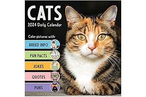 TF PUBLISHING Funny Cats 2023 Daily Day-To-Day Desk Calendar