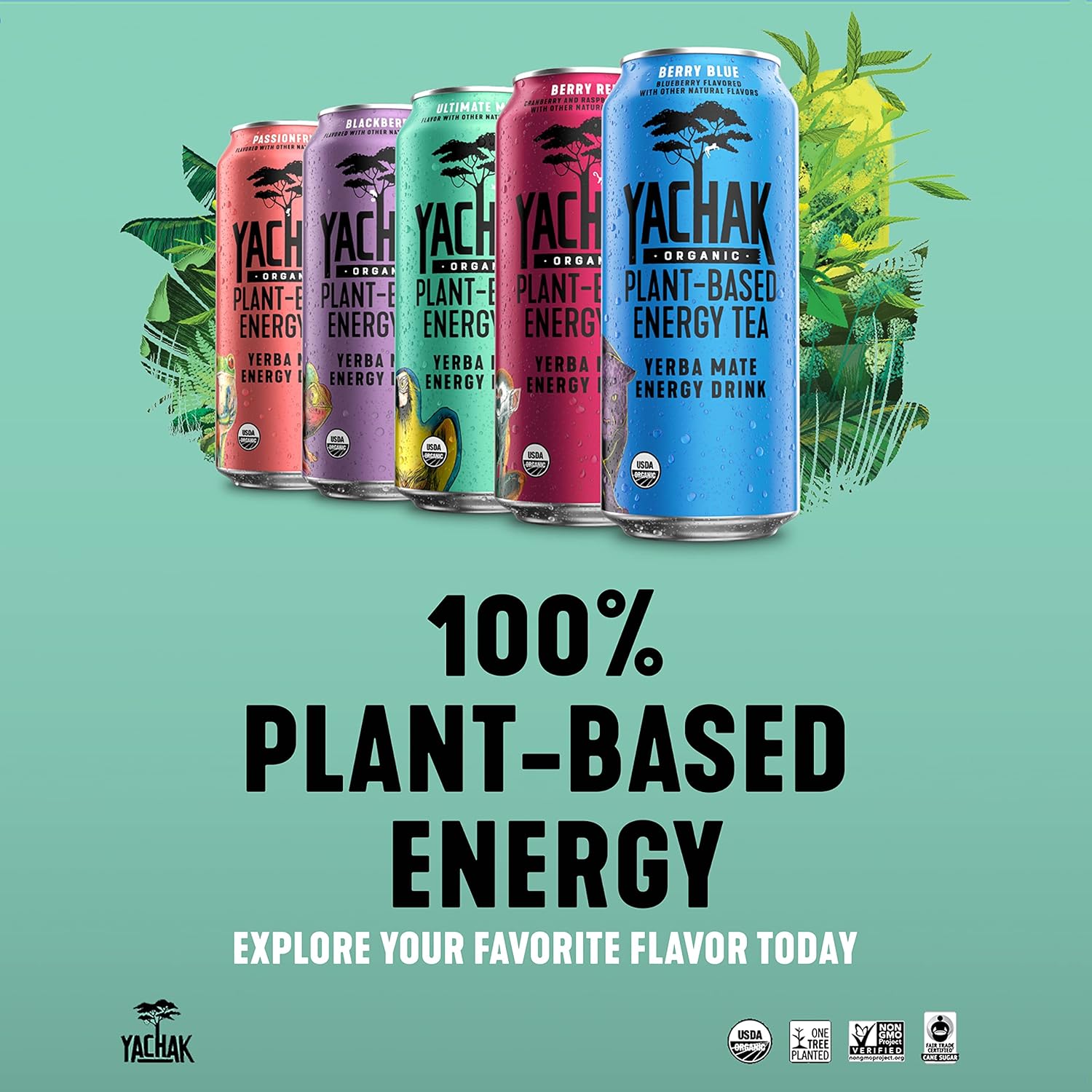 Yachak Yerba Mate Drink, Ultimate Mint, Packaging May Vary, 16 Fl Oz, Pack of 12