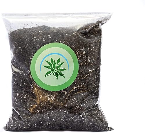 Suelo para suculentas al aire libre (4 cuartos de galón) - Mezcla para macetas para suculentas al aire libre - Suelo para suculentas al aire libre -