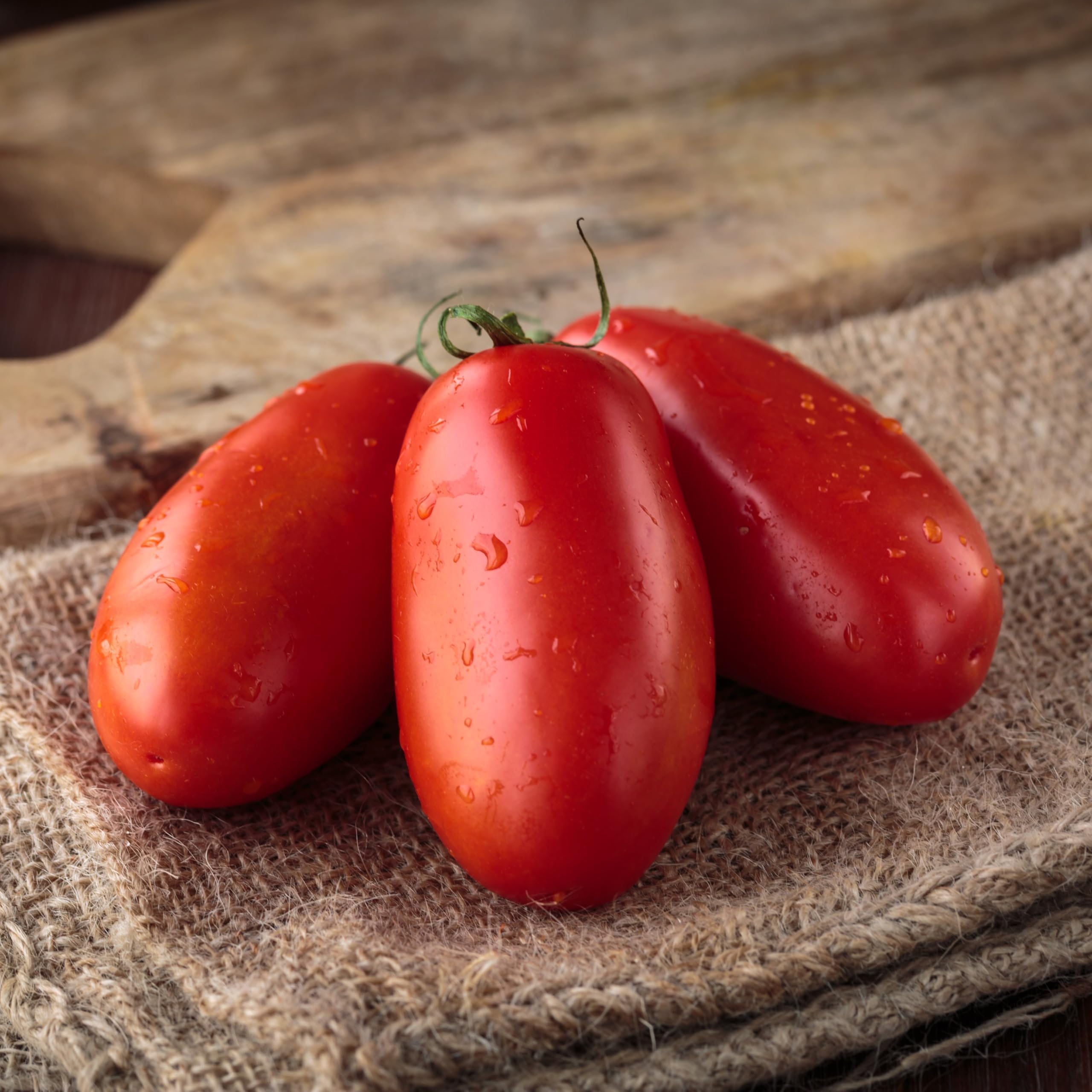 Premier Seeds Direct - Tomato - SAN MARZANO 2-50 Italian Seeds