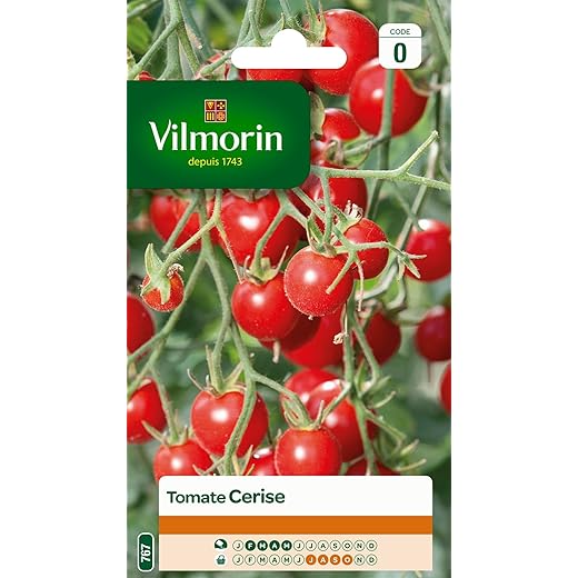 Vilmorin 3974040 Tomate cerise Rouge