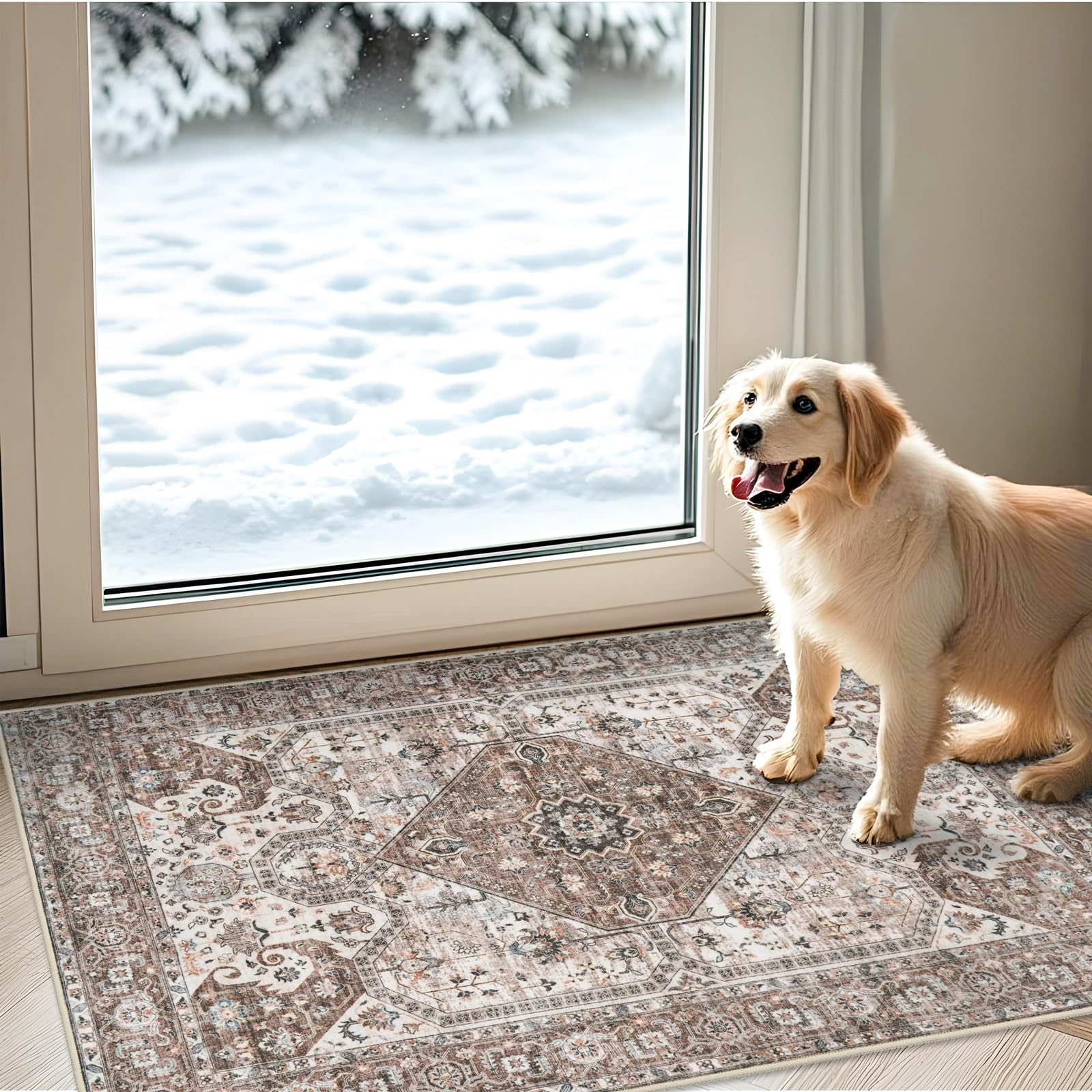 Washable 2x3 Entryway Area Rug: Vintage Non-Slip Backing Rugs for Kitchen Bathroom Water Resistant Carpet for Bedroom Soft Low Pile Front Door Mat for