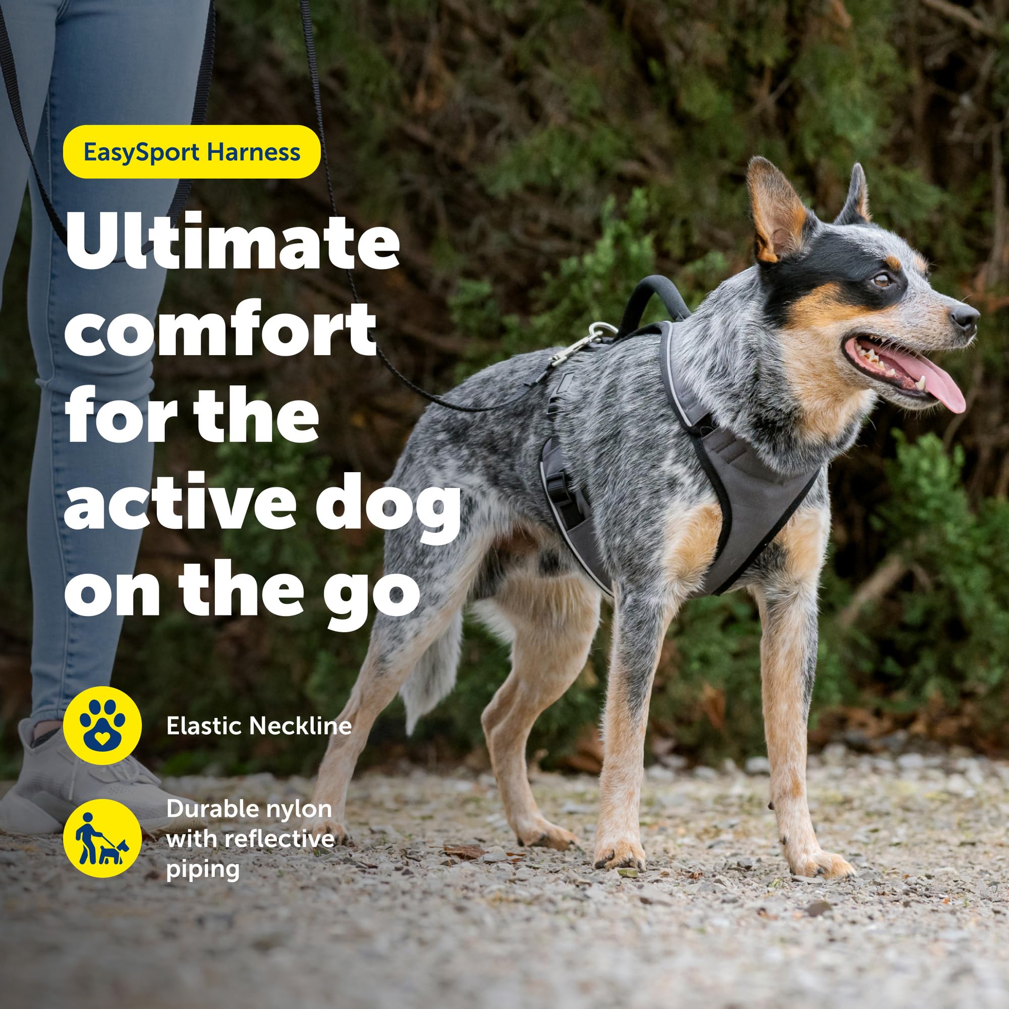 PetSafe EasySport - Harnais pour Chien - Réglable - Rembourré - avec poignée de contrôle et Passepoil réfléchissant - Taille M - Noir