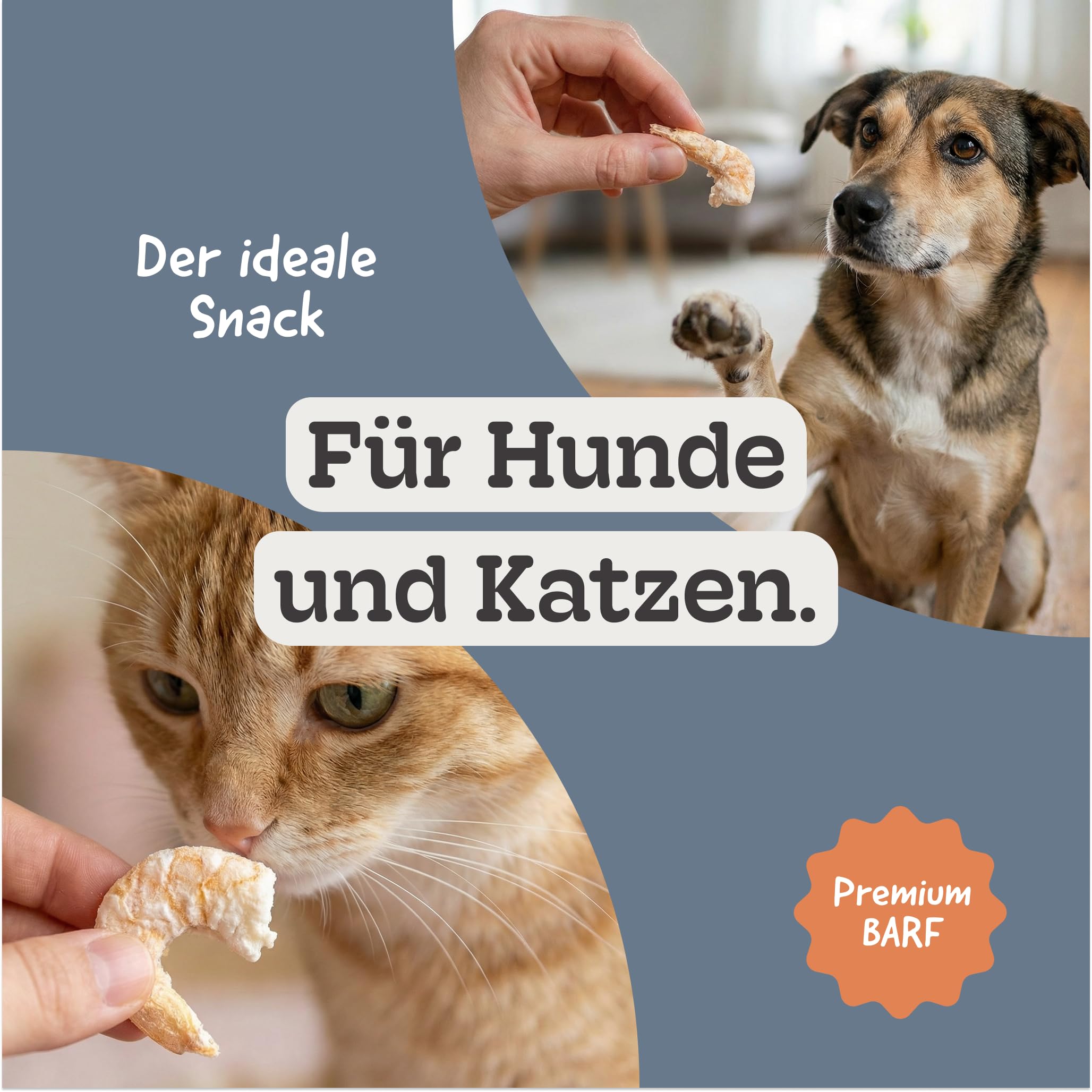 Gefriergetrocknete Riesengarnelen für Hunde & Katzen – 100% natürliche Single-Protein Snacks – ohne Zusätze – proteinreiches Barf-Topping & Belohnung – 25g