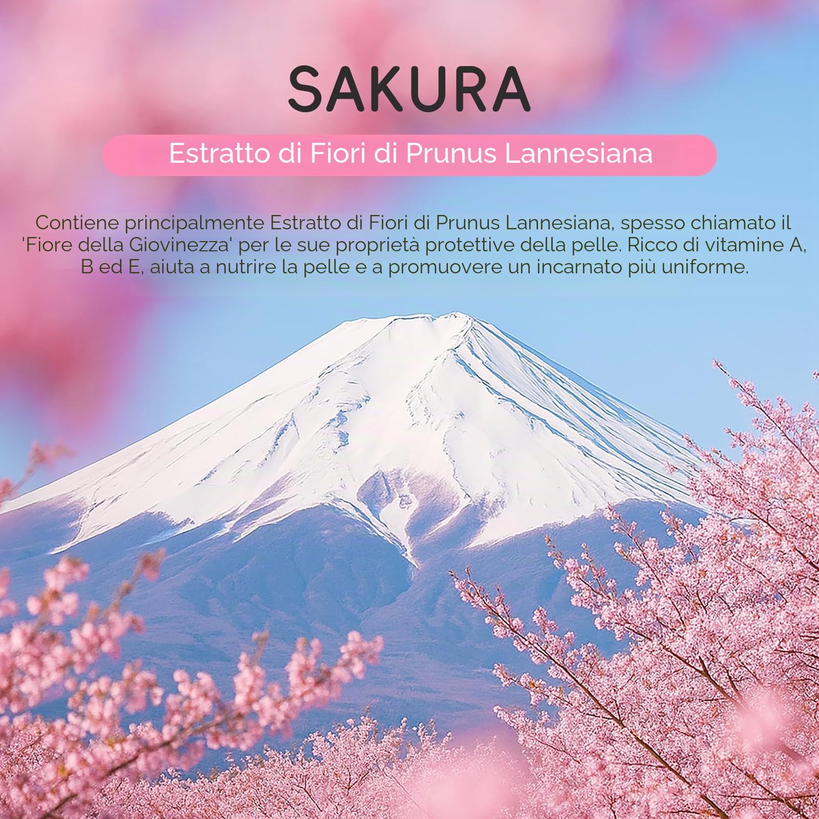 LAIKOU Sakura Skin Care Adolescente da Viaggio, 8 Pezzi Kit Pulizia Viso Ragazza, Kit Crema Viso Giorno e Notte, con Detergente Crema Contorno Occhi Siero Maschera Idratante e Maschera Collo (11pcs)