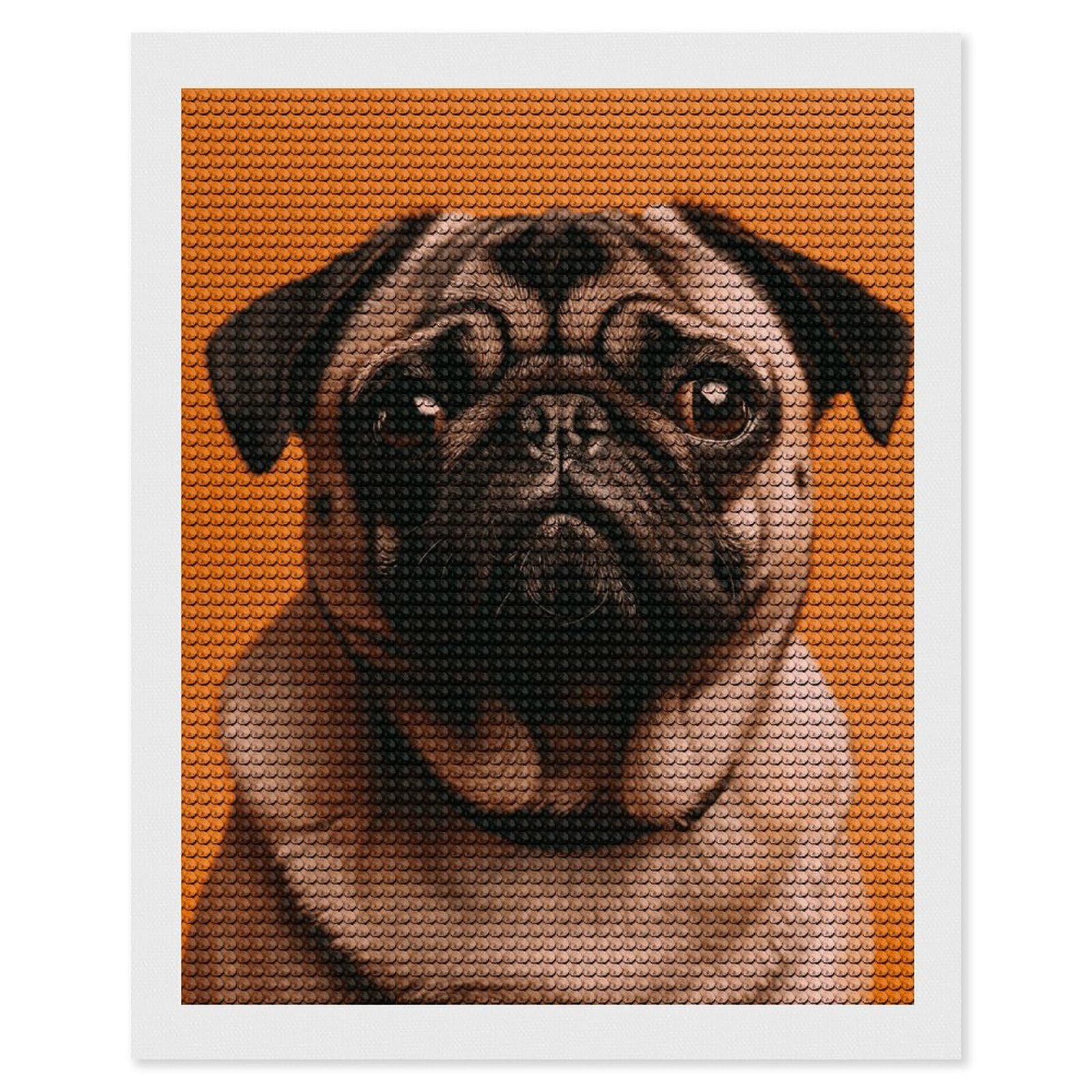 NONHAI Diamond Painting Kits for Adults - DIY Diamond Art Kits for Beginners - Full 5D Paint Drill Diamond Dots Paintings- A Pug Diamonds Pictures Gem Art and Craft Wall Decor 16"x20"