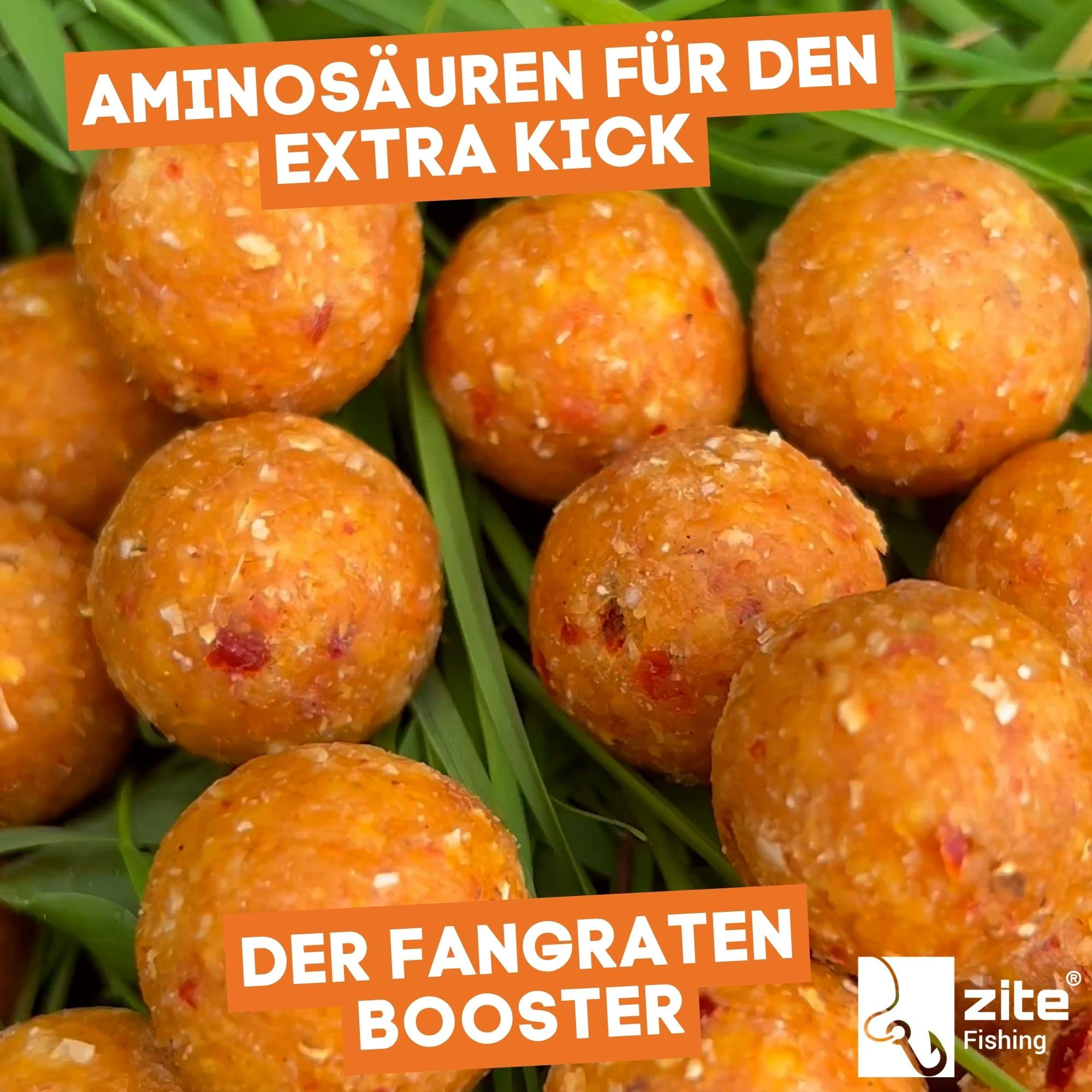 Zite Fishing Boilies Karpfen-Angeln 20mm - Starke Lockwirkung & Wohldosierte Aminosäuren - 1kg Angelköder Sinkend, Wiederverschließbaren Beutel, Hochfängige Aromen-Auswahl, Karpfen Boilies Angelfutter