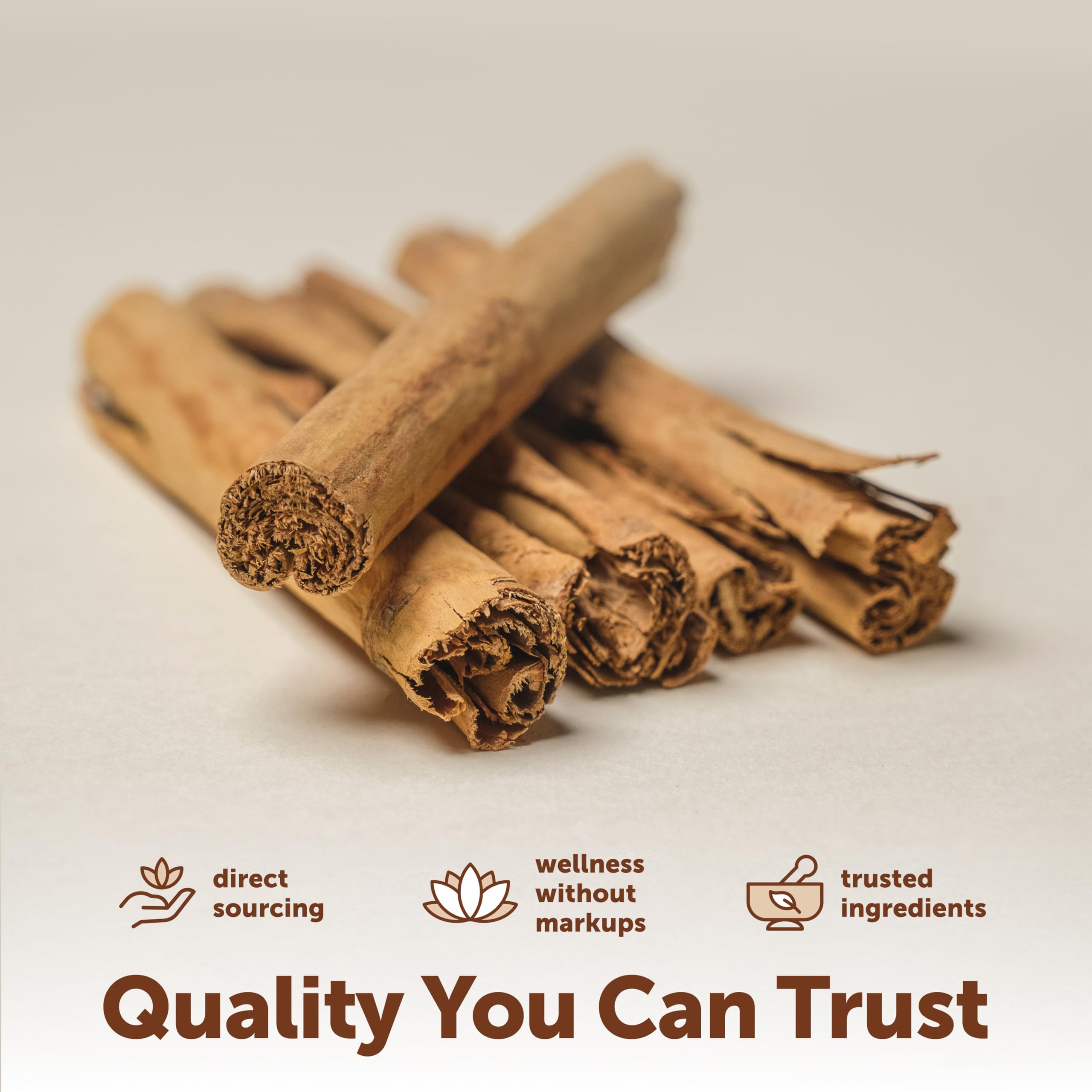 Micro Ingredients Ceylon Cinnamon, 300 Softgels, Made with MCT Oil — Amazon image 6