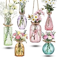 Teecyhooo 6pcs Stained Glass Hanging Vases - Colorful Terrariums with Rope for Air Plants, Flowers, Home & Wedding Decor