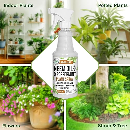 Miniatura 3 de Mighty Mint Aceite de neem y menta prensado en frío, aerosol natural para plantas, 16 onzas
