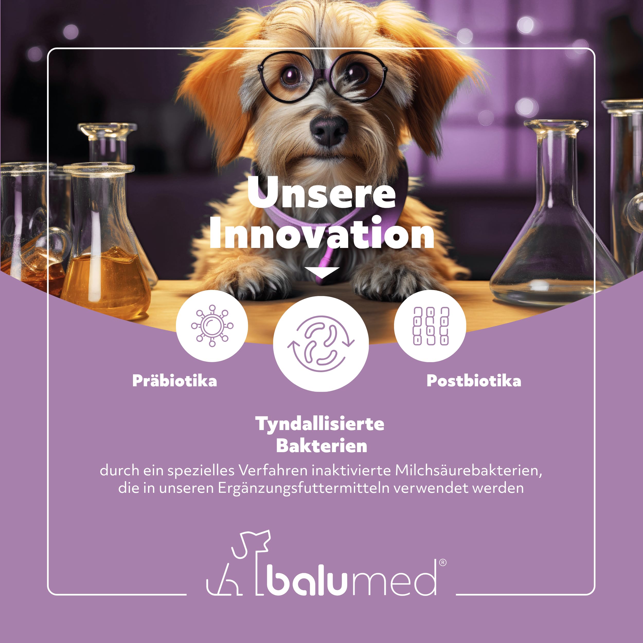 Snacks Magen+Darm hochkonzentriert mit Fenchelsamen & Flohsamenschalen für Hund, Leckerli mit Präbiotika, Postbiotika, Kamillenblüten, Bierhefe, Omega-3, Vitamine E + B1, 325 g