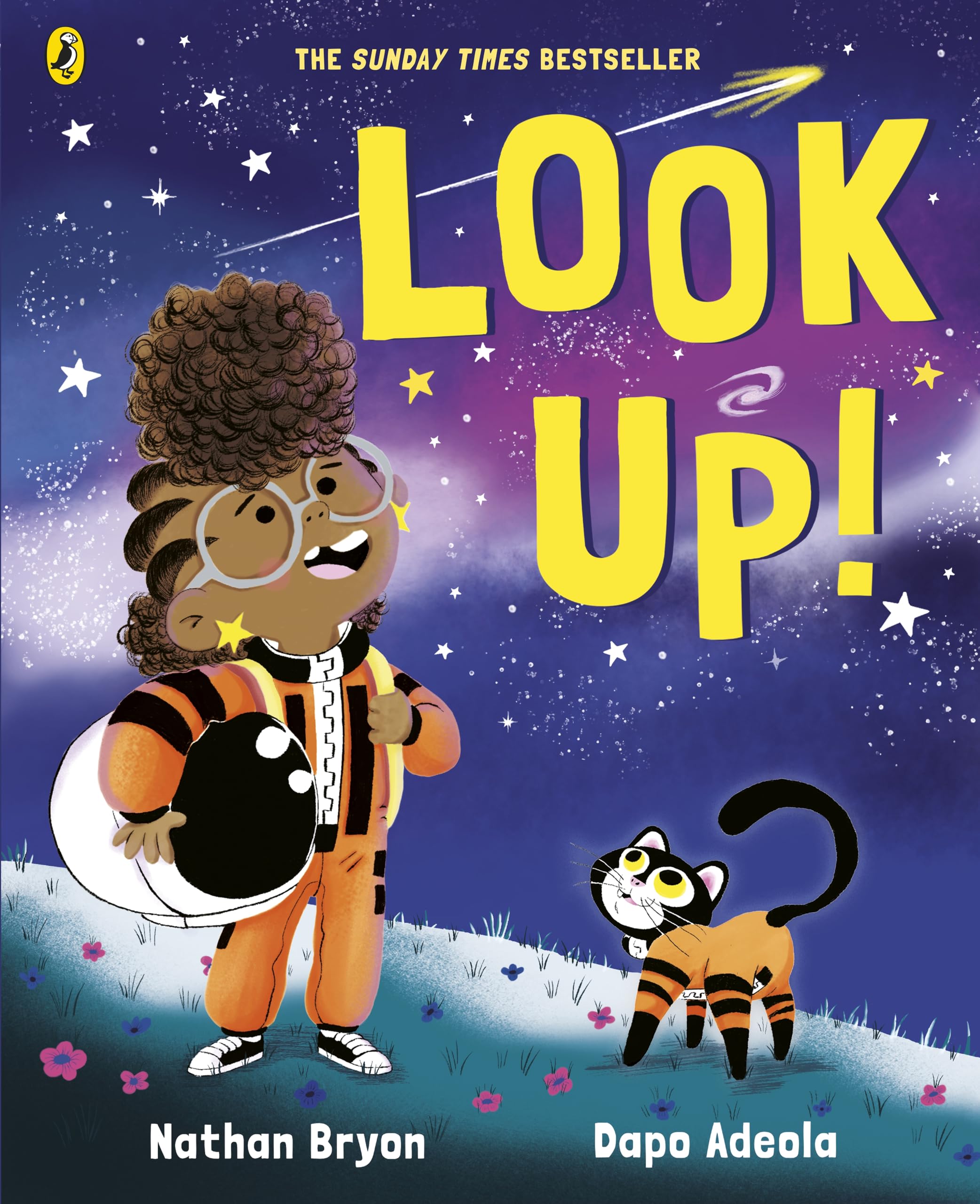 Puffin Look Up! Paperback – Big Book, 13 June 2019