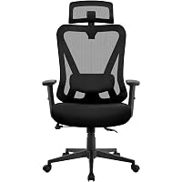 Yaheetech Poltrona/Sedia Ufficio Bloccabile Ergonomica Lombare Ruote Nera